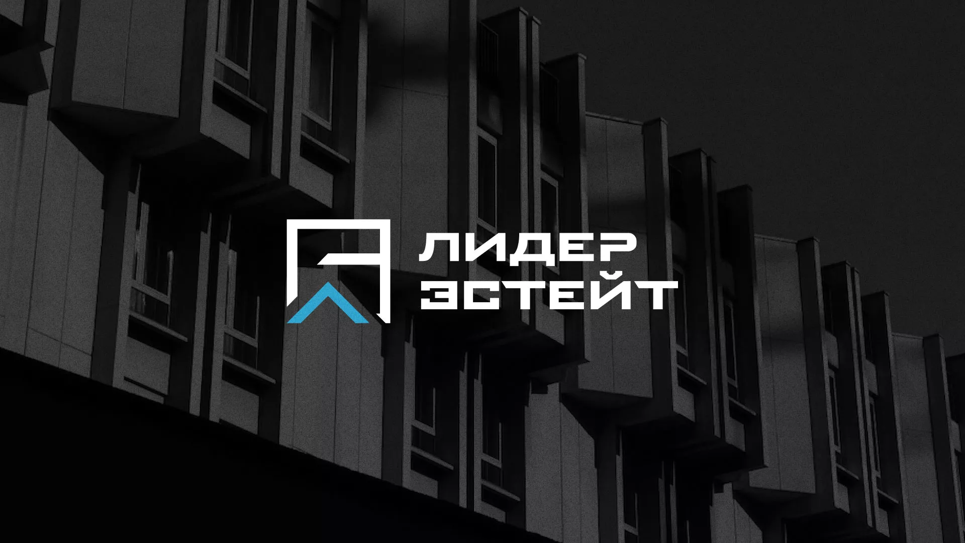 Разработка логотипа агентства недвижимости «Лидер Эстейт» в Клинцах